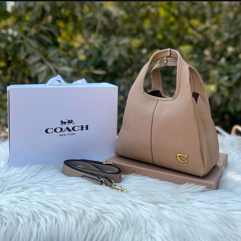 Coach lana handbag